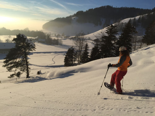 Schneeschuh-Tour 2 Tägig im Zürcher Oberland