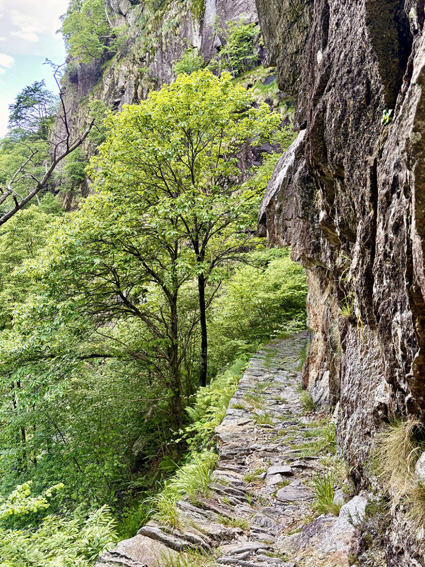 Steiniger Wanderweg mit abfallendem Hang Steiniger Wanderweg mit abfallendem Hang